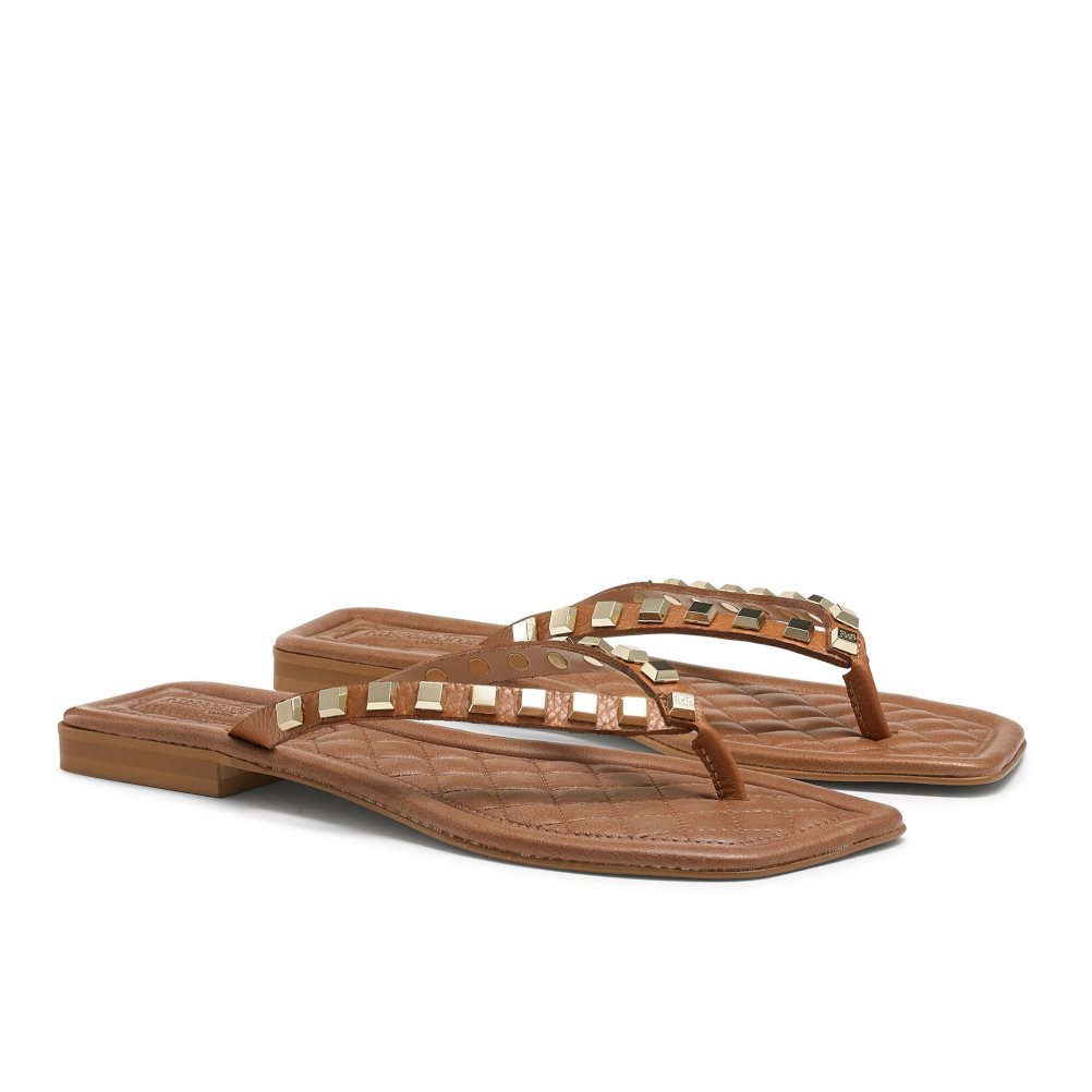 Brown Russell & Bromley Cairo Stud Toe Post Women's Flat Sandals | PH-4-TFGQ