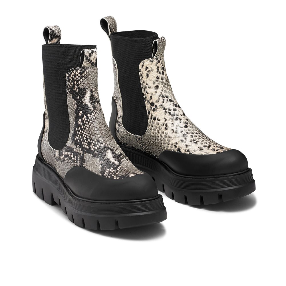 Snake / Black Russell & Bromley Conquer Women's Chelsea Boots | PH-6-YNLF