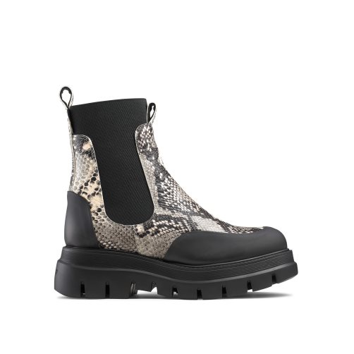 Snake / Black Russell & Bromley Conquer Women's Chelsea Boots | PH-6-YNLF